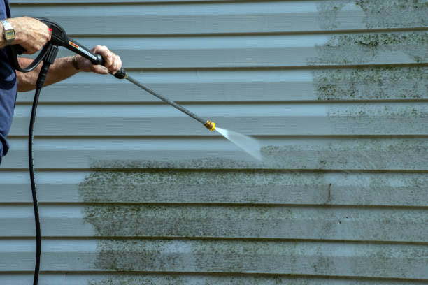 Best Patio and Deck Pressure Washing  in Town Line, NY